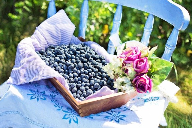blåbær